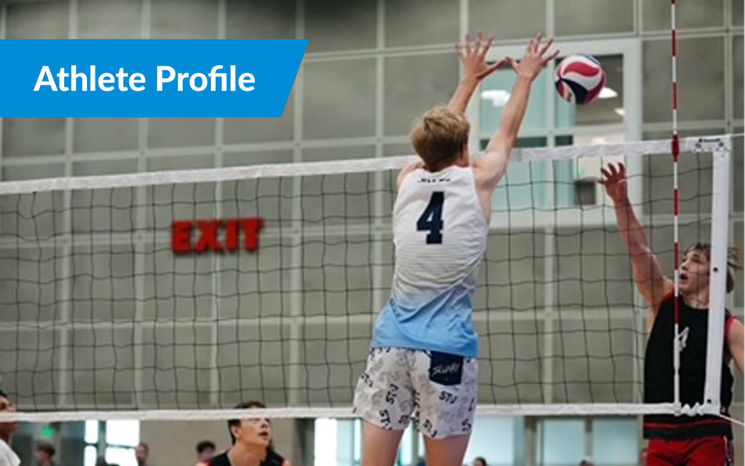 Tall Athlete Profile: Niko Hales