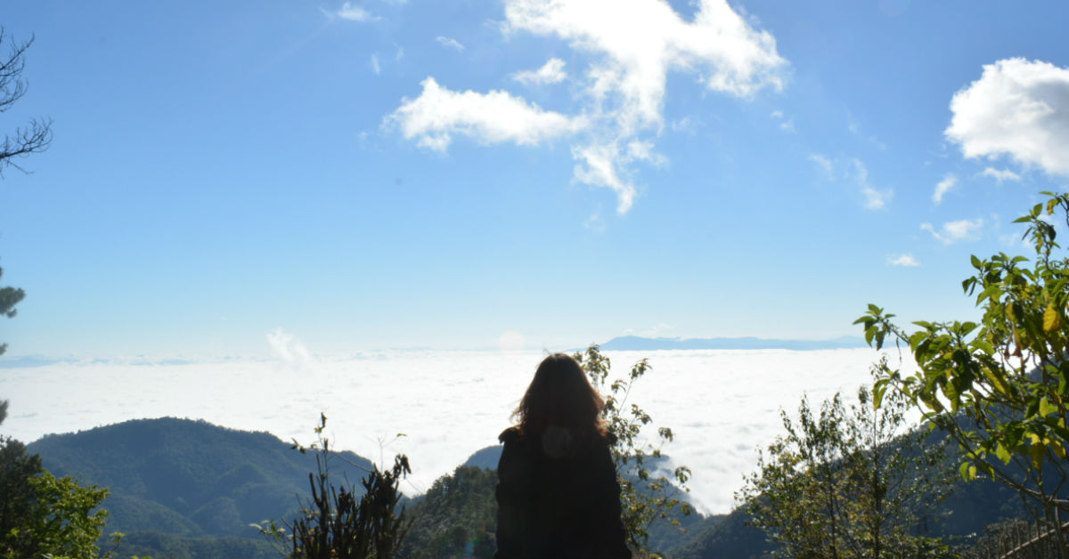 Our Favorite Tall Women In The Media