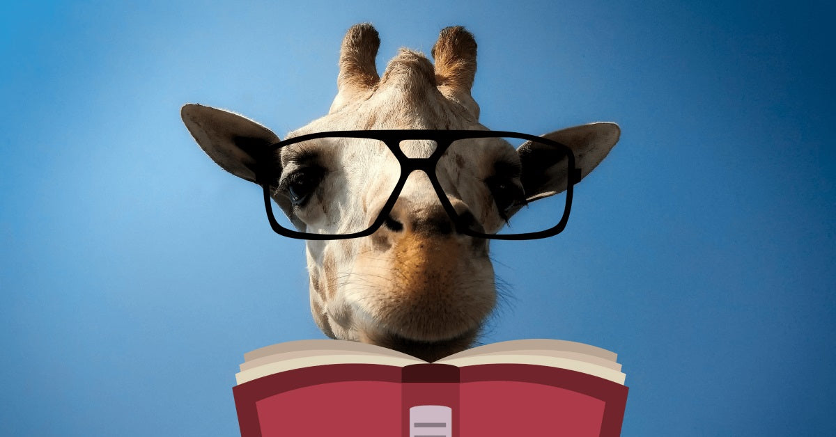 There's a New Online Directory for Tall People