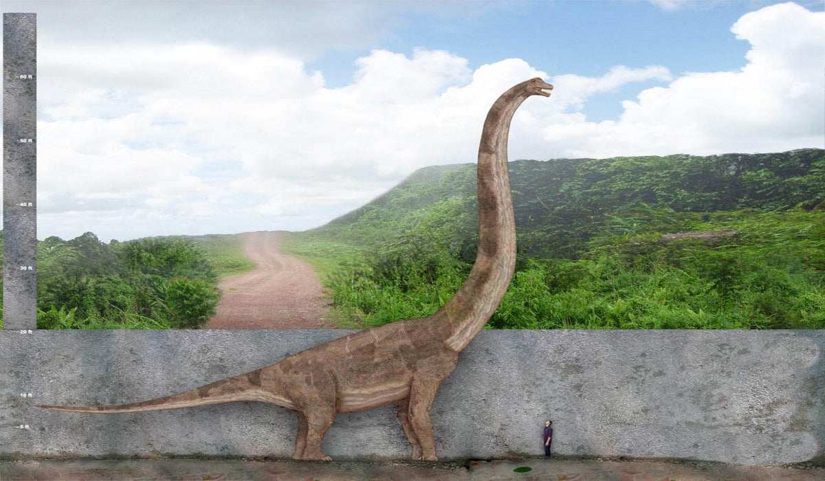 What's the Tallest Living Creature to Ever Walk the Earth?