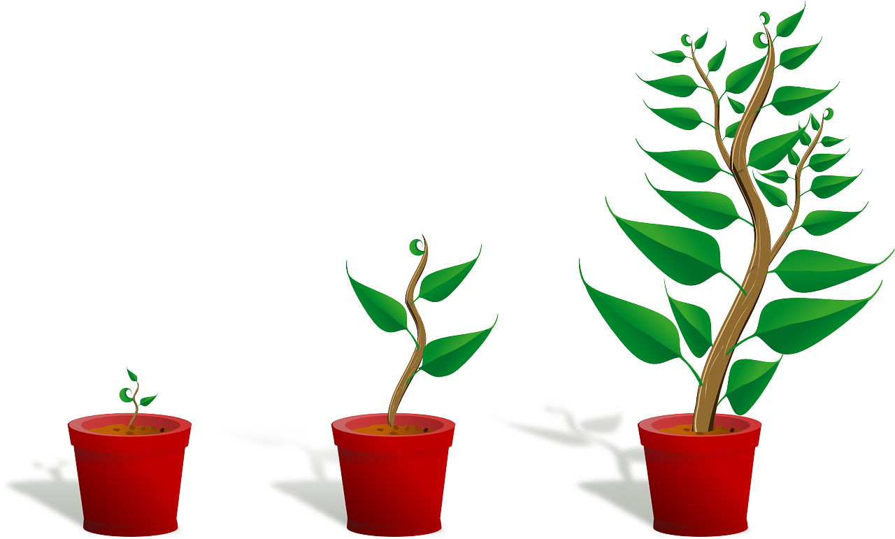 Our Ever-Changing Heights: A Few Facts About How We Grow (and Shrink)
