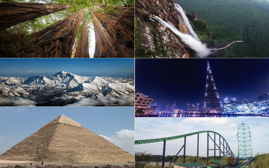 These are a Few of Our Favorite Tall Things